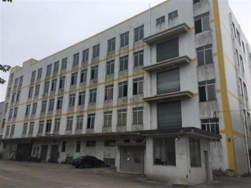 石家莊鋼結(jié)構(gòu)廠房安全檢測(cè)鑒定內(nèi)容