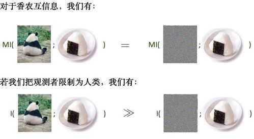 非香農(nóng)類信息不等式 iclr 2020 北大圖靈班本科生滿分論文 計(jì)算約束下有用信息的信息論...
