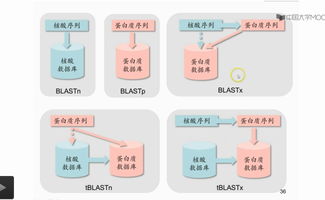 生物信息學課程