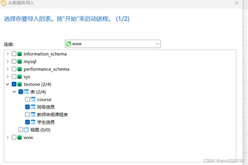學生信息表e r圖